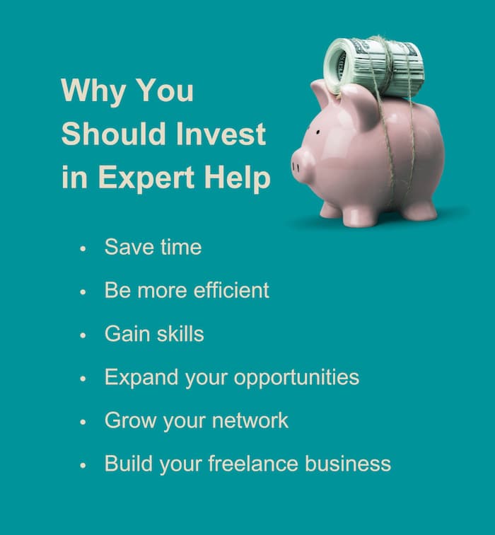 invest in expert help